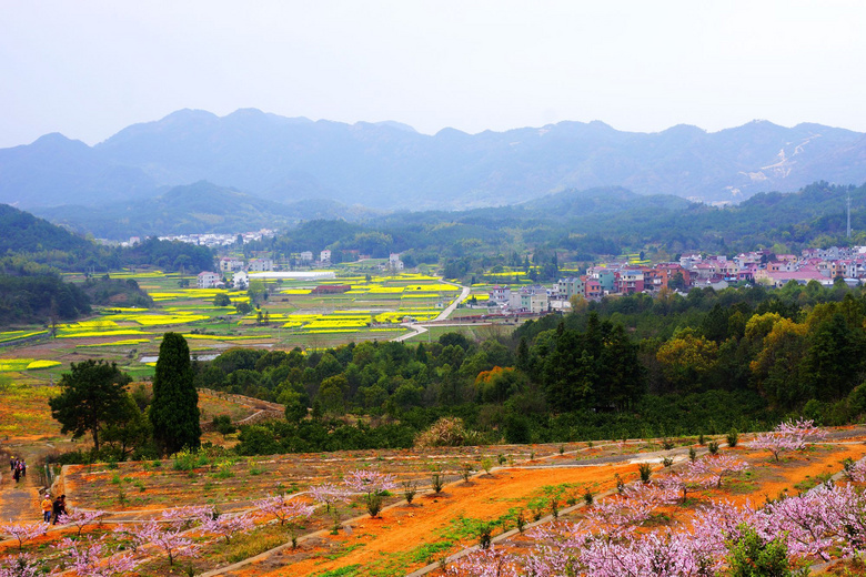 陈店村田园的春天