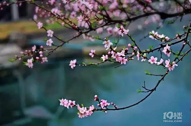 @(g)(ji)ȥݡ󻨈@δԺrr
