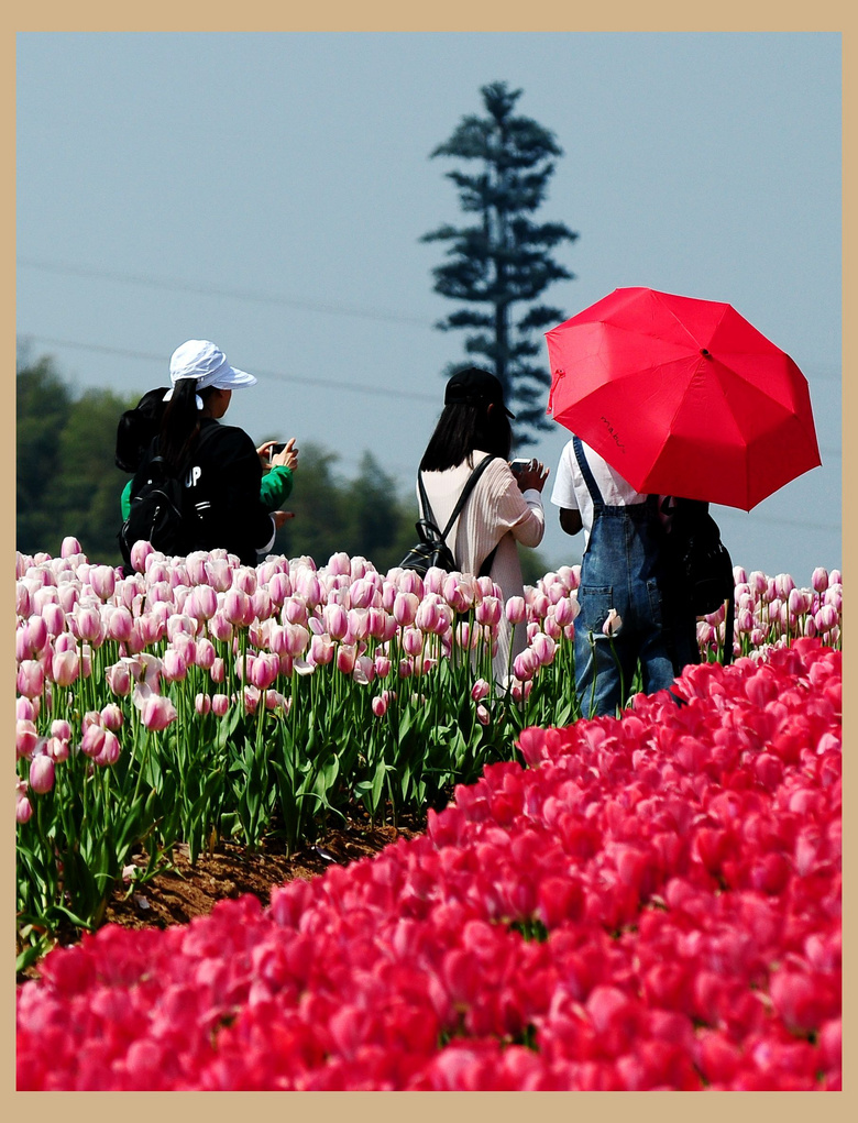 人赶花会,色彩缤纷.