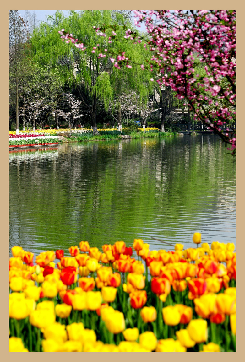 人赶花会,色彩缤纷.