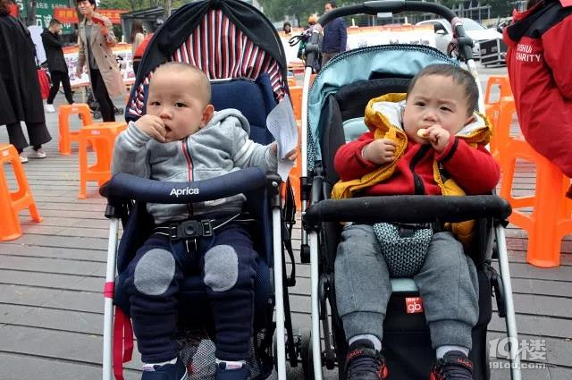 活动回顾丨滴水小导游带你魅力城半日游~