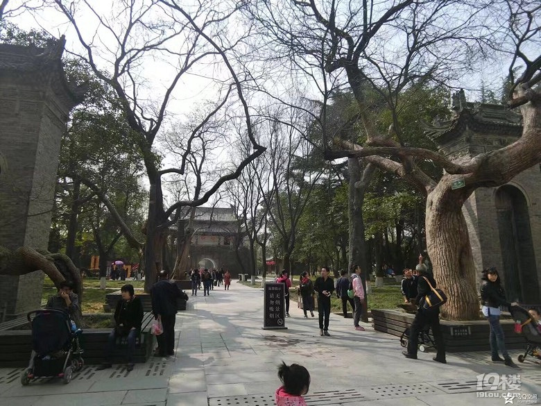 跟著抖音爸爸接著游西安...
