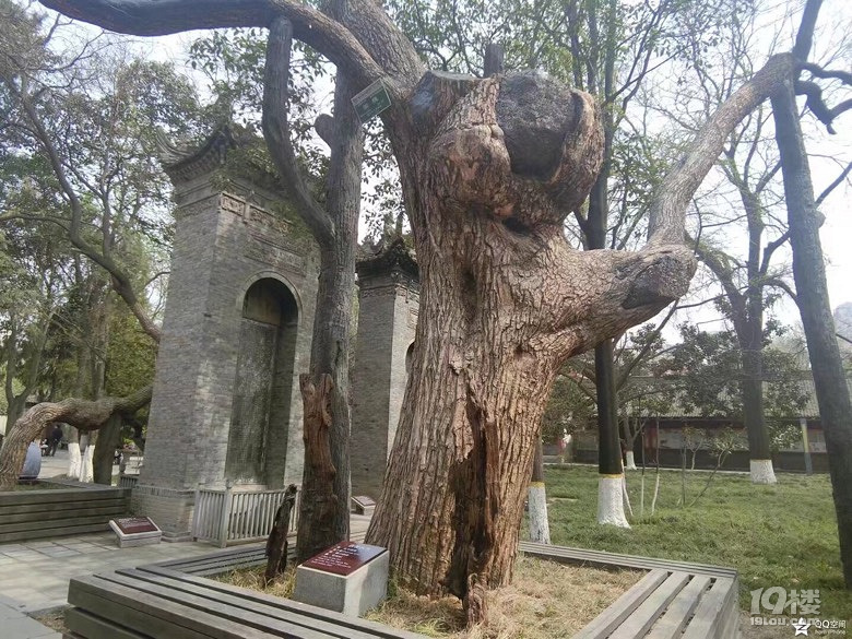 跟著抖音爸爸接著游西安...