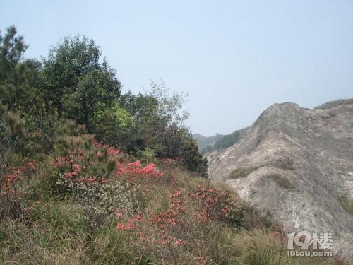 参禅千年乌石寺，徒步最美山脊线， 龙游乌石山环线活动招募