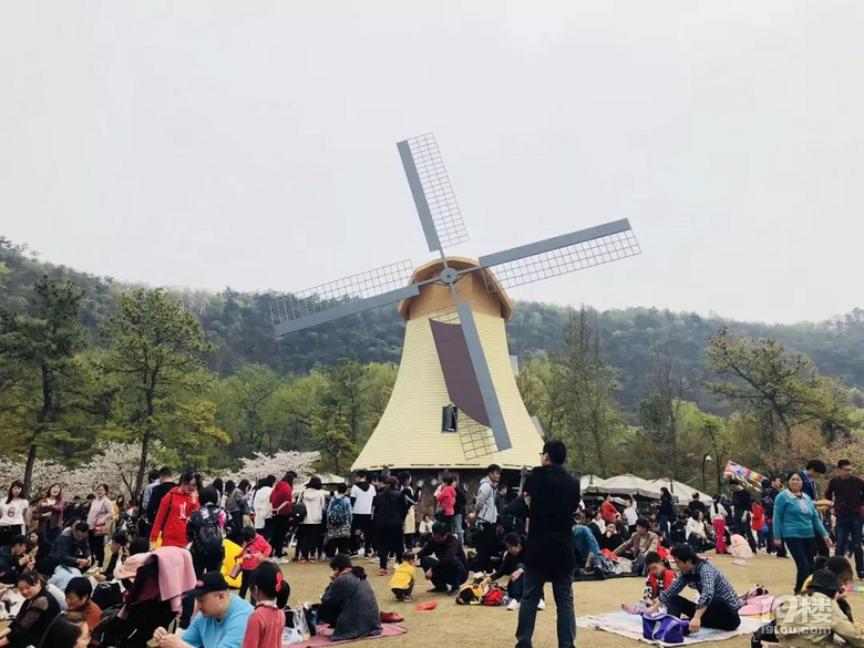 太子灣公園賞郁金香?親,準(zhǔn)媽媽的你盡量別去擠了!