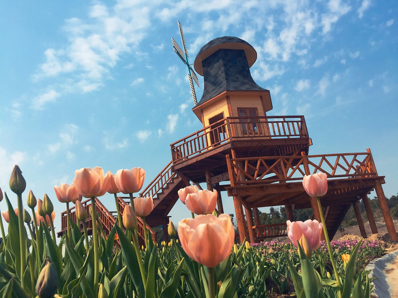 康馨文化园正式开园