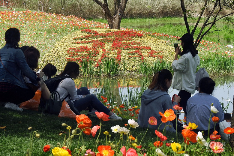 千人穿漢服共慶百花生日——2018中國(guó)杭州·西溪花朝節(jié)驚艷亮相