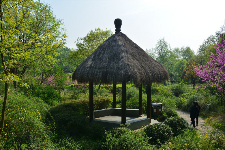 三台山景区-风景照-19摄区-杭州19楼