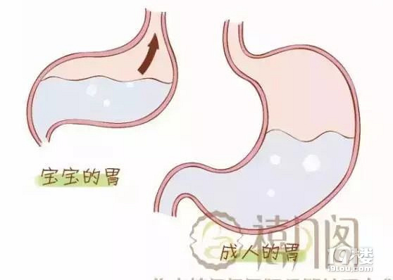 杭州禧月阁科普丨新生儿宝宝溢奶及处理技巧