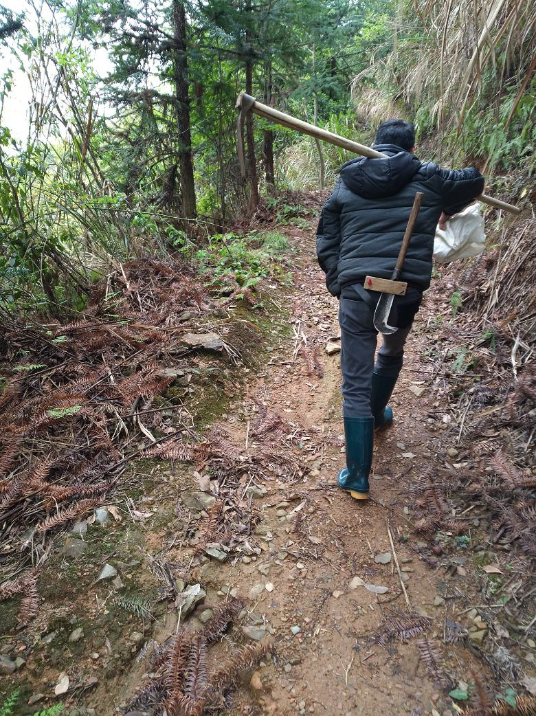 山里人已经不再稀罕楼主发表于: 2018-04-07 21:28被遗忘的黄花菜阅读
