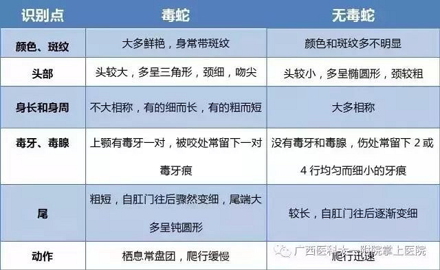 男子在酒店里突然昏迷,接着裤腿里钻出这东西,头皮发麻