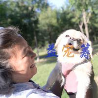 益宠筹:法阿姨走投无路 急需帮助 爱心接力