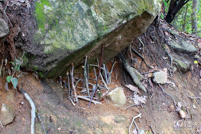 醉美湘西--湖南行走全纪录-分享张家界-凤凰-长