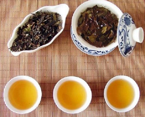 孩子过量喝茶会营养不良吗?