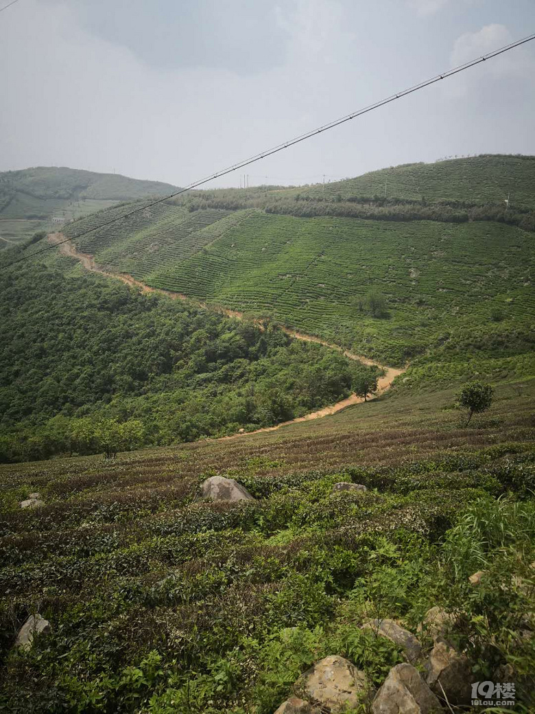 五一余杭王位山骑行小记