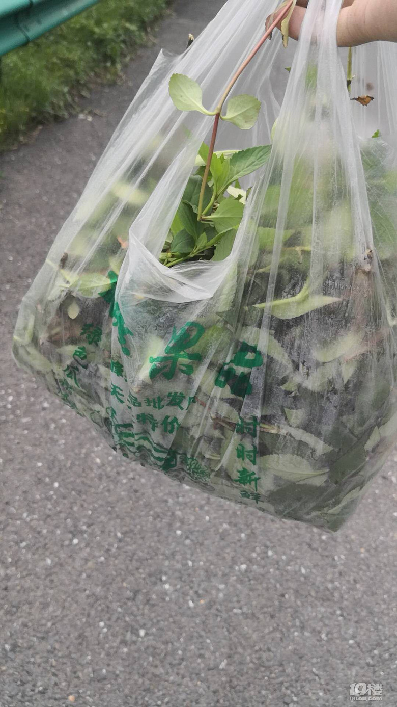 五一余杭王位山骑行小记
