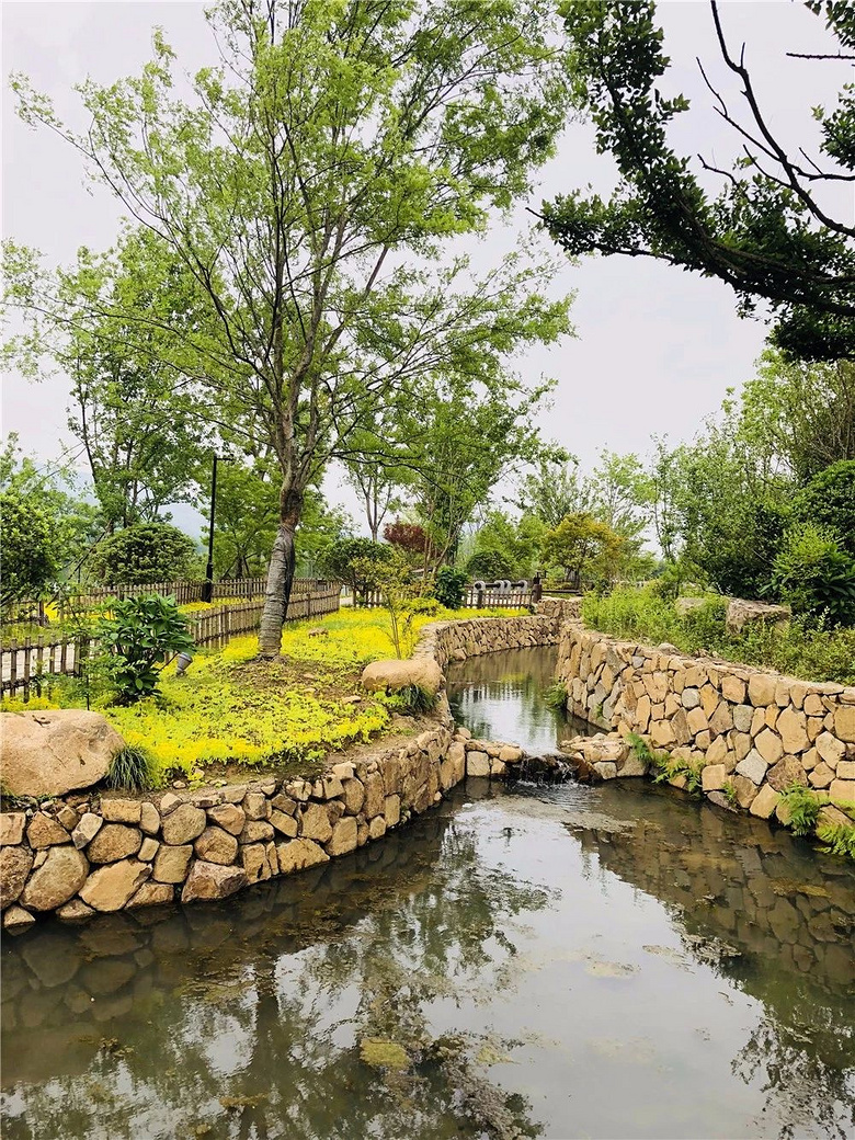 我曾经跨过山河大海,也穿过.径山小道!杭州人