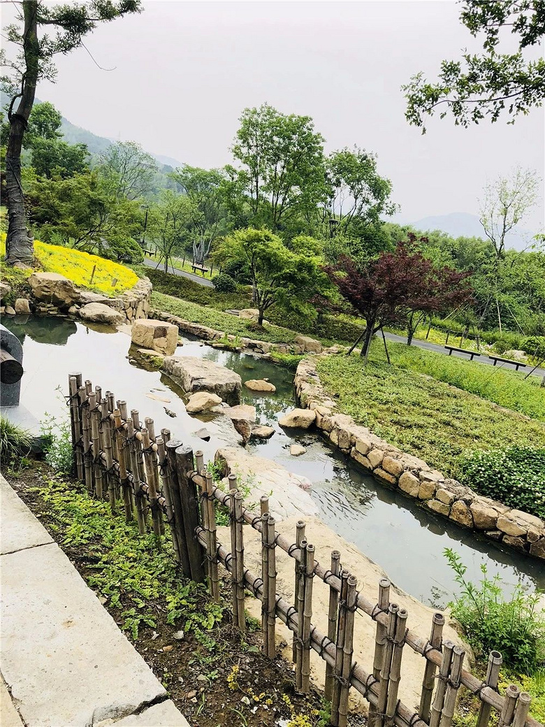 我曾经跨过山河大海,也穿过.径山小道!杭州人