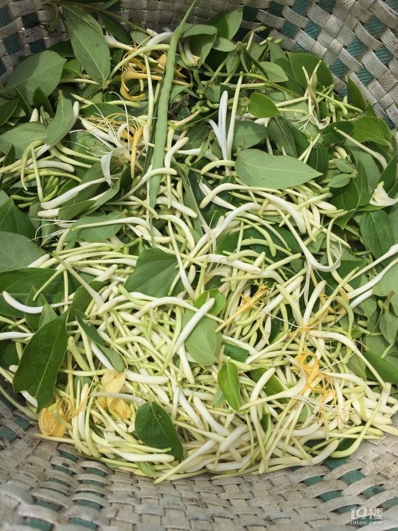 生命太短,日子太忙,活着就该尽力活好,别让自己