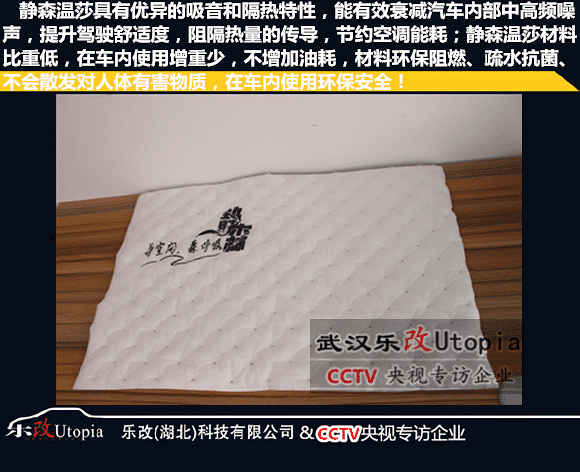 武昌徐东乐改店名爵GS汽车全车隔音降噪