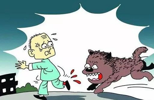 湖北3岁男童遭狗撕咬面部惨不忍睹这个季节猫狗伤人高发丨