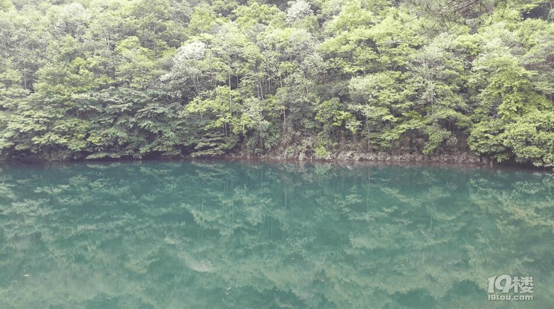 小白鸭子
