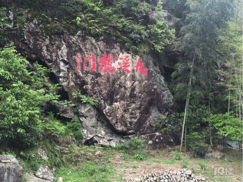 小白鸭子