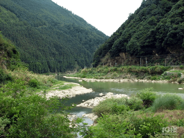 小白鸭子