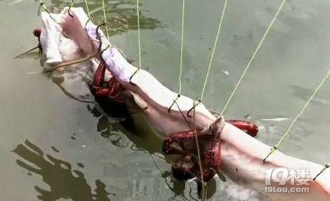 小伙把猪肉扔到水里,没过多久猪肉上出现的一