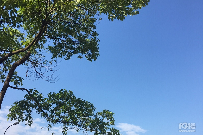 5月15日早安最高温度35左右注意防暑