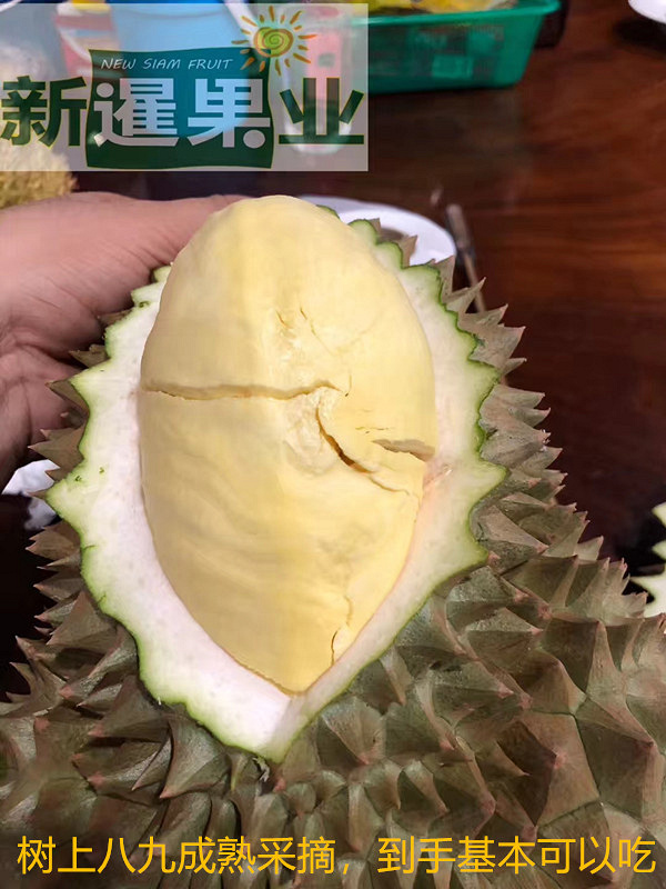 新暹果业榴莲,坚持高品种,原产地直发,做最好的