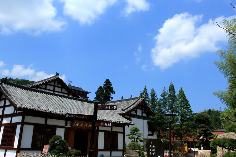 徑山寺,徑山花海一日遊-風景照-19攝區-杭州19樓