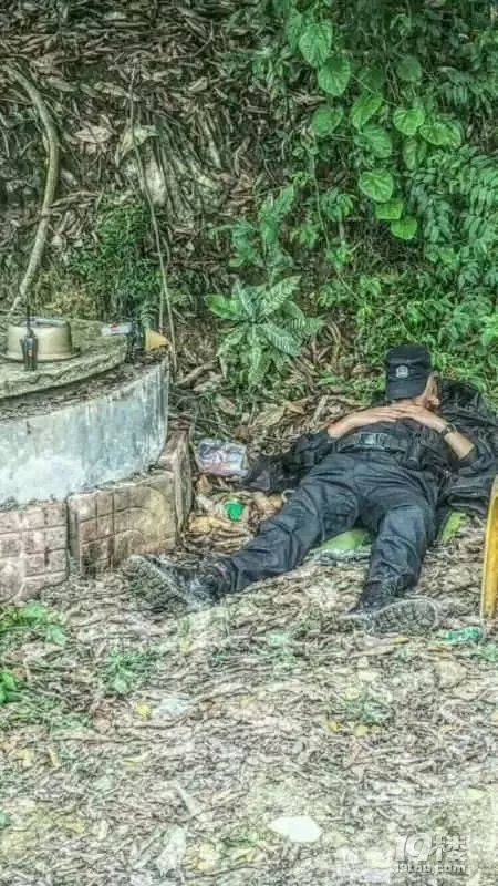 昨晚,宝安公安分局官方微信公众号披露了四