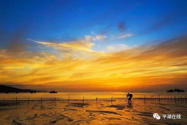 5月19日平湖周边一大波景区免费,半价开放!一起去玩耍吧