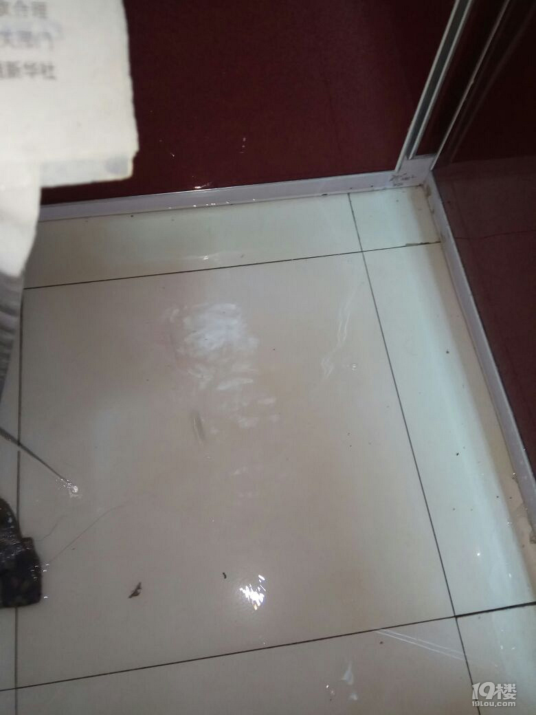 海尔集团.你还知道什么是礼义廉耻吗?