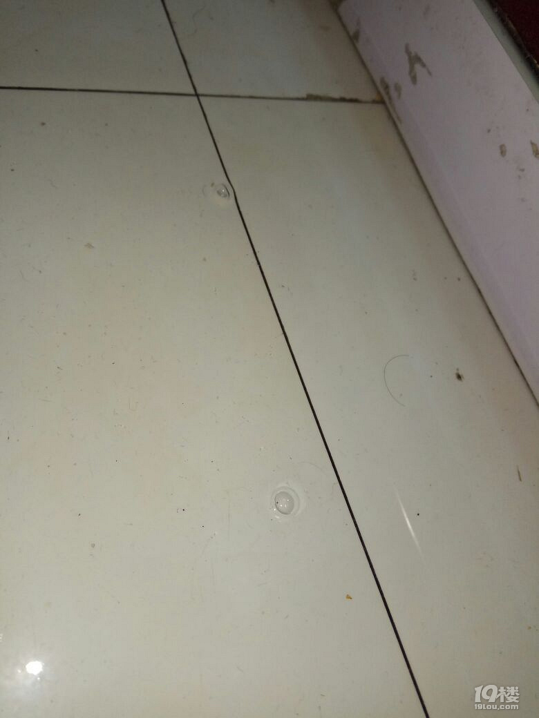 海尔集团.你还知道什么是礼义廉耻吗?