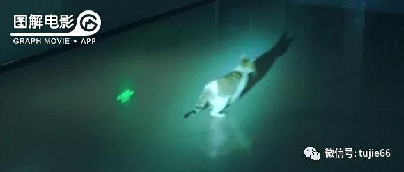 图解电影《误闯疯人院》没想到这部网大居然这