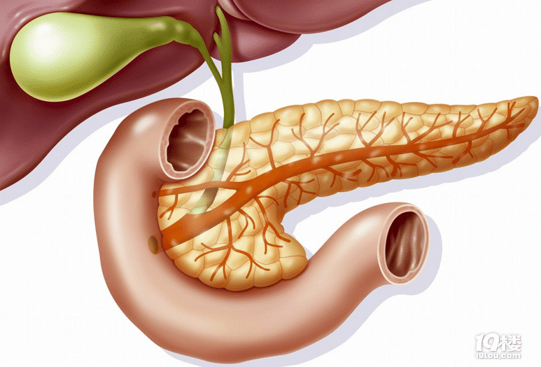胰腺癌治疗后怎样做可以防止再次复发?