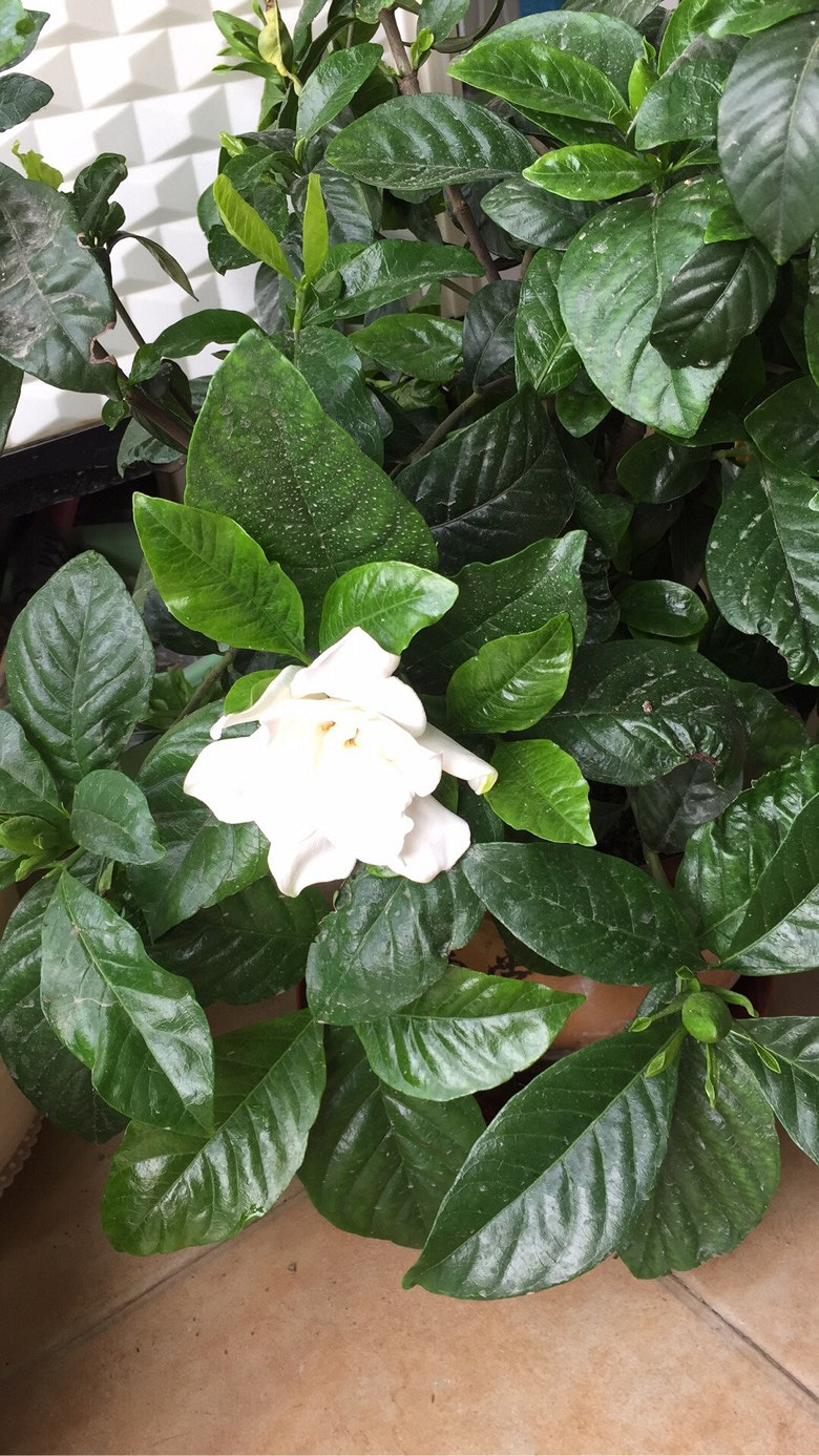 手机随手拍-杭州19楼