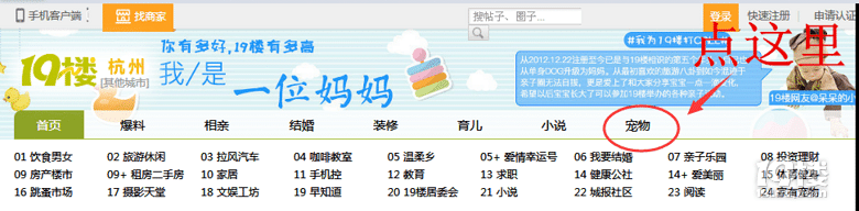 【寵物爆料大賽】不玩虛的,發(fā)帖送現(xiàn)金紅包!
