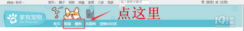 【寵物爆料大賽】不玩虛的,發(fā)帖送現(xiàn)金紅包!