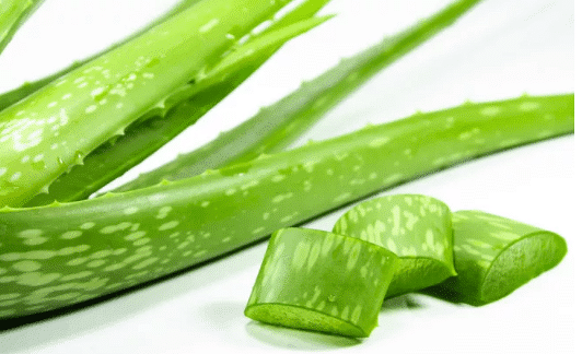 脸上长的黄褐斑能彻底去除吗?怎样去除黄褐斑