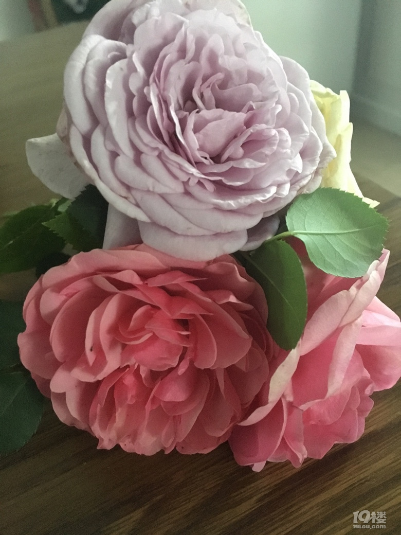 确认过眼神你是对的人?女征男