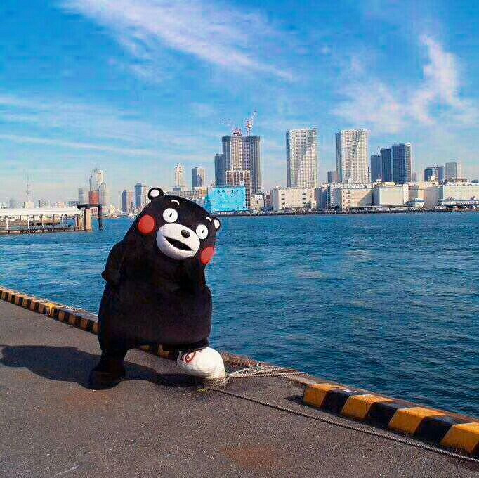 在海龟创业团队的A轮互联网公司工作是一种什