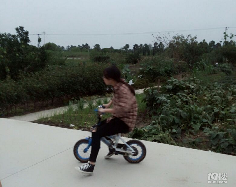 跪求各位大神帮忙想一个富有创新及洋气的团队