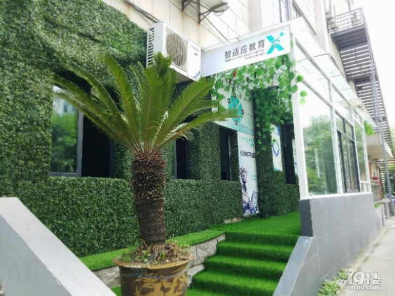 上海智适应教育杭州分校高薪诚聘各科教师