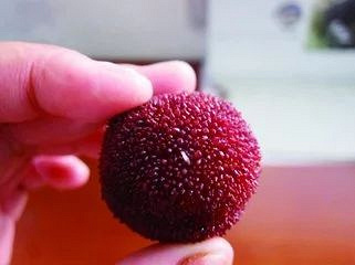 买了一盒樱桃,居然内藏白色小虫!专家:蛋白质,