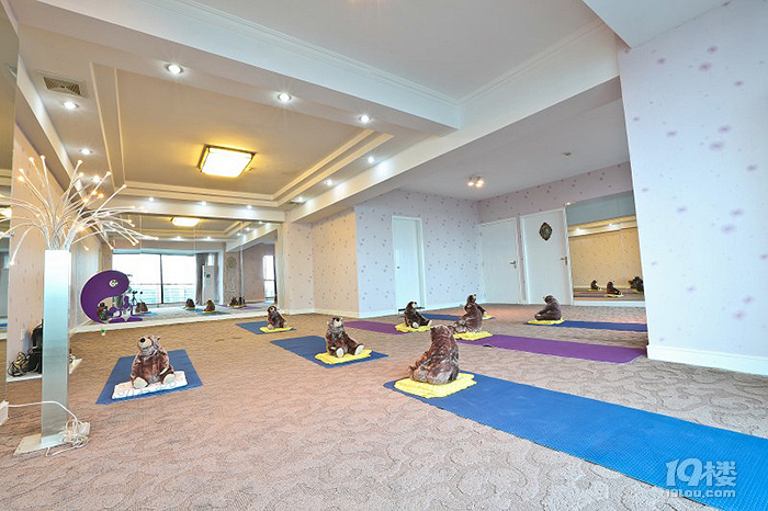 杭州瑜伽教练培训哪家好,如何成为出色的瑜伽