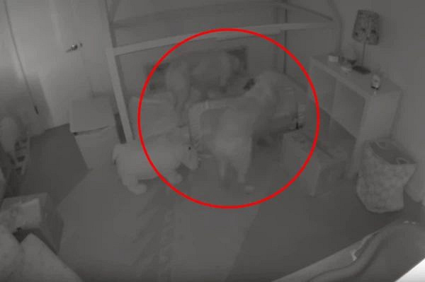 一岁多的宝宝经常半夜下床玩,妈妈查看监控才