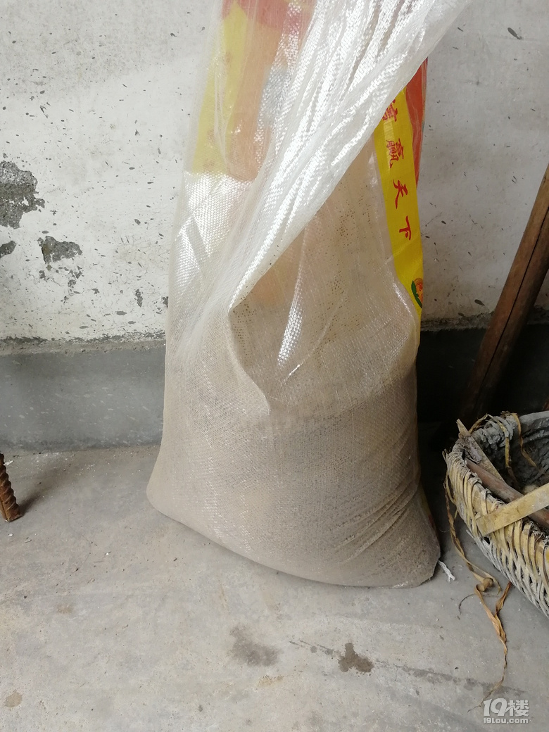 我要自己在出租房内种菜-持续更新